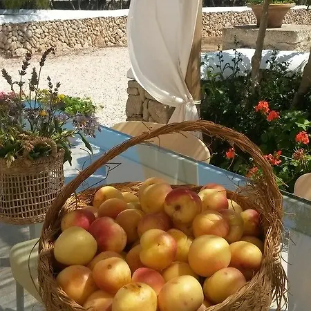 Biniati Des Pi