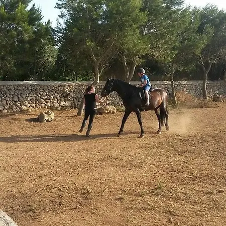 Biniati Des Pi 3*